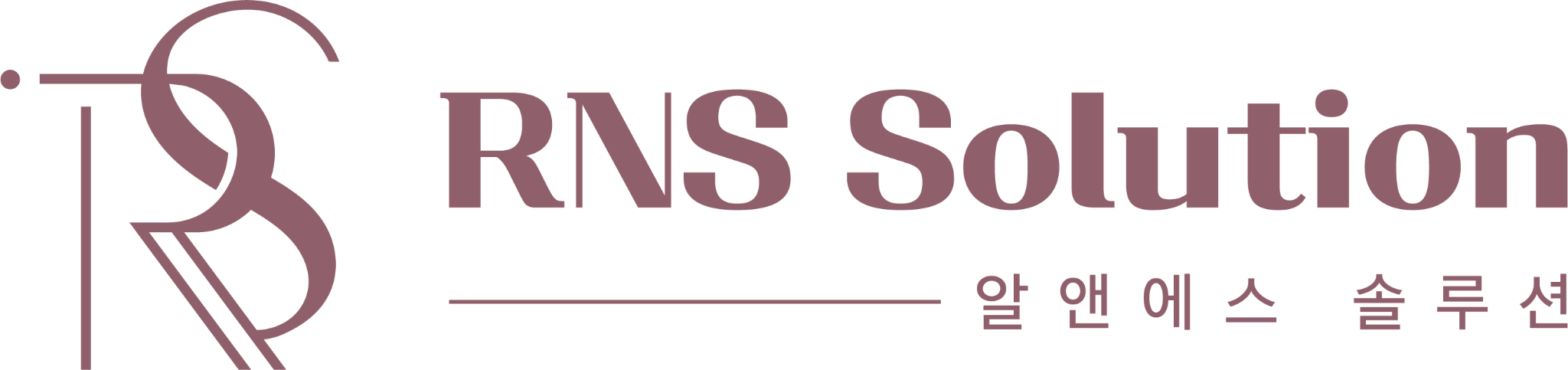 RNS Solution 알앤에스솔루션